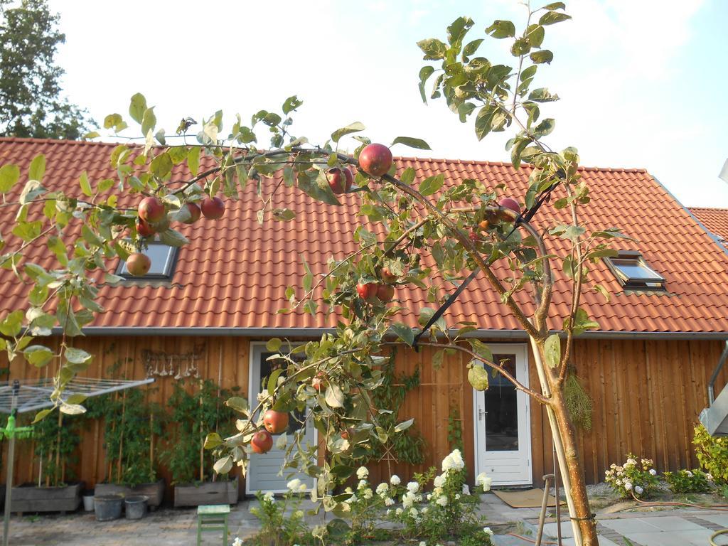 Bij En Boom Bed & Breakfast Drachten Exteriör bild